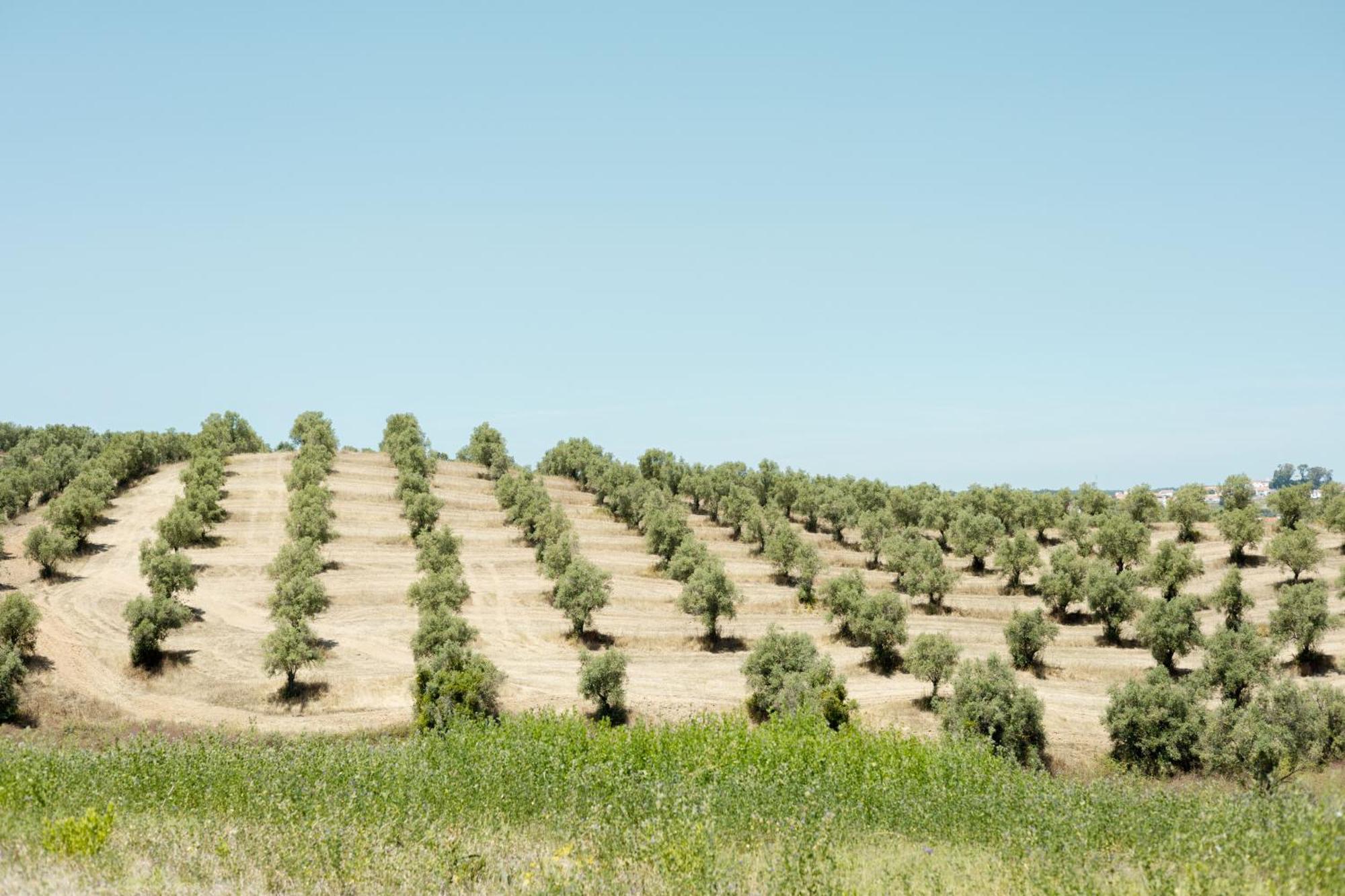 Lavre Sleep & Nature Hotel מראה חיצוני תמונה